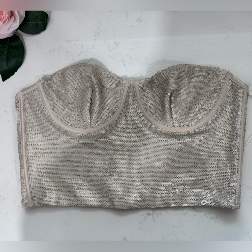 Zara crop top Cream Mesh Top